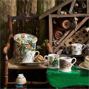 Emma Bridgewater Dragonfly Half Pint Mug